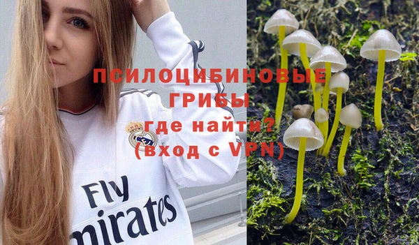 таблы Алексин