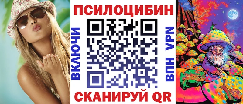 купить  цена  Сокол  Псилоцибиновые грибы Psilocybine cubensis 