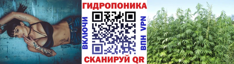 продажа наркотиков Сокол Шишки марихуана White Widow